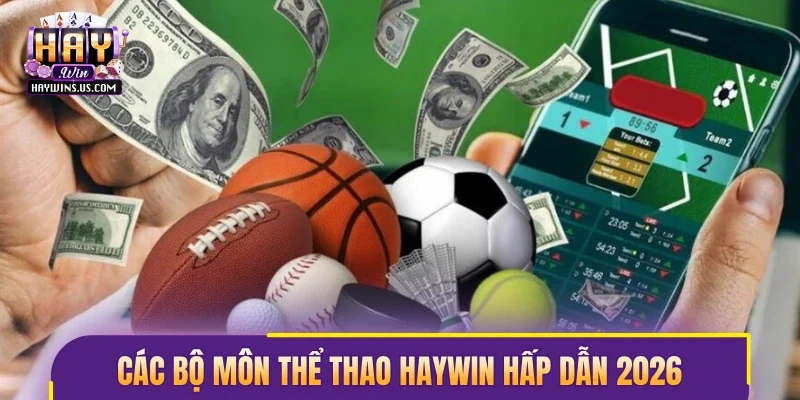 Đặc điểm nổi bật khi tham gia thể thao Haywin