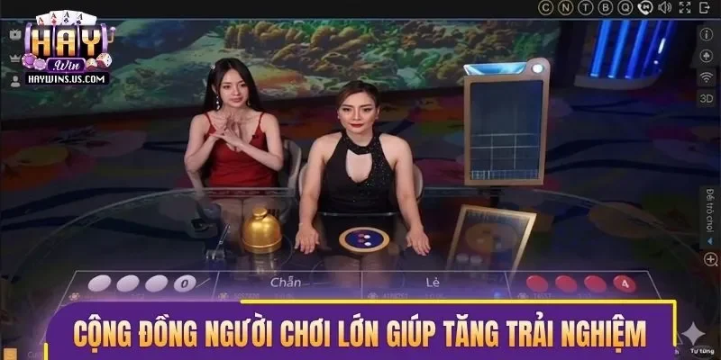 Cộng đồng người chơi lớn giúp tăng trải nghiệm