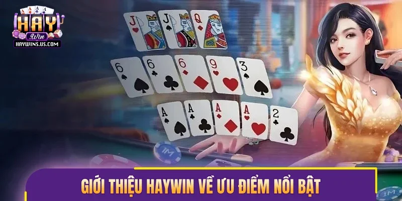 Giới thiệu Haywin về ưu điểm nổi bật