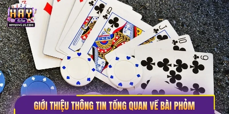 Giới thiệu thông tin tổng quan về bài phỏm