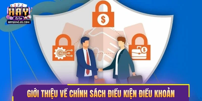 Giới thiệu về chính sách điều kiện điều khoản