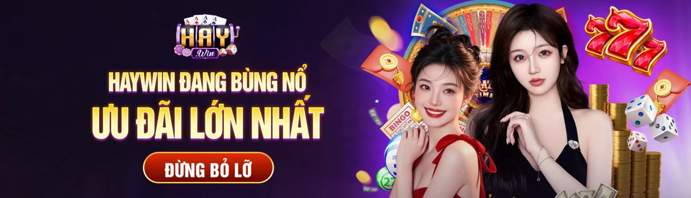 haywin banner