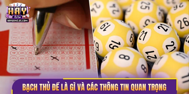 Khái niệm bạch thủ đề là gì và các thông tin quan trọng