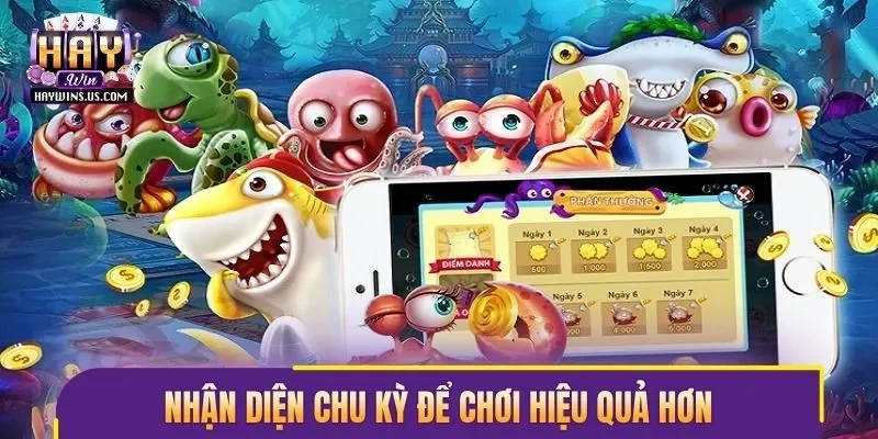 Nhận diện chu kỳ để chơi hiệu quả hơn
