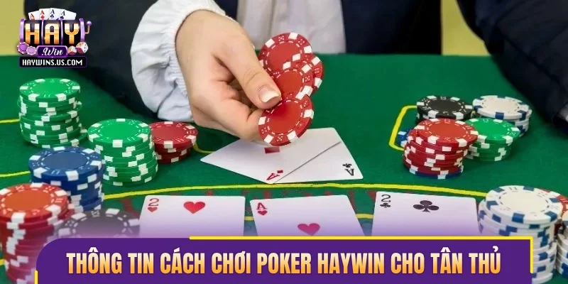 Thông tin cách chơi Poker Haywin cho tân thủ