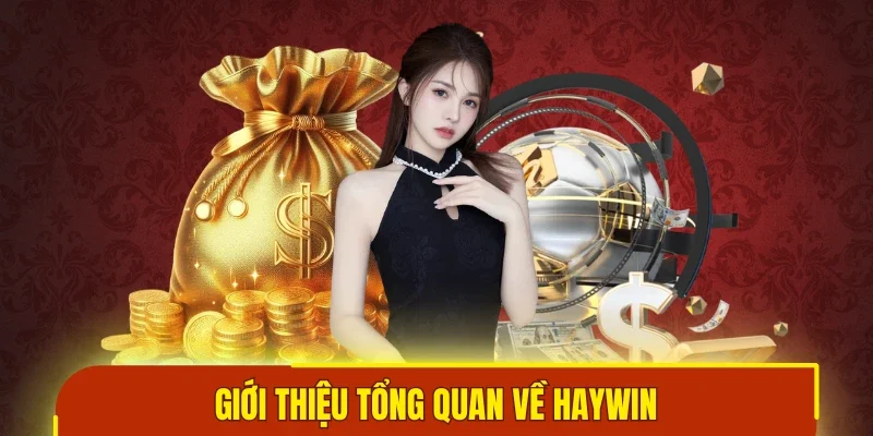 Giới thiệu tổng quan về Haywin